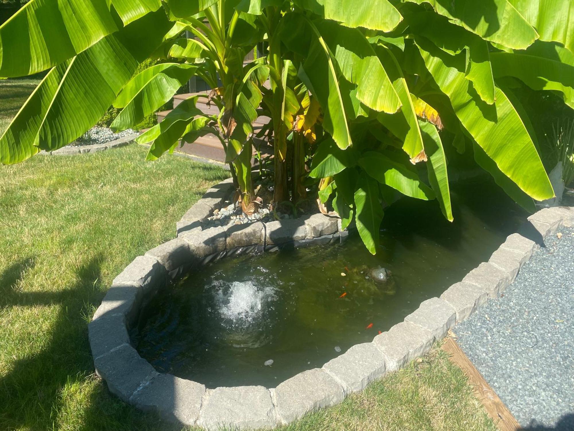 Rockwood House Bed & Breakfast Nanaimo Ruang foto